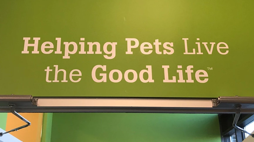 Wall Graphic for Pet Store in Shoreview