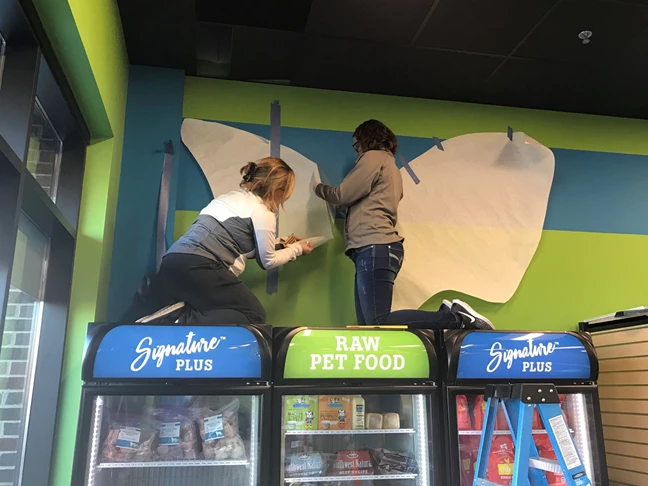 Wall Graphics and Lettering Installation by Image360 Woodbury